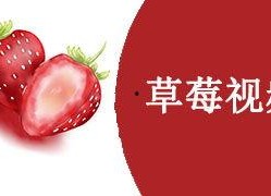 草莓视频国产,本土创新与全球视野的交融