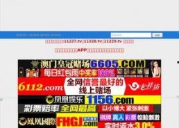 国产视频在线网站,探索国内在线平台的魅力之旅